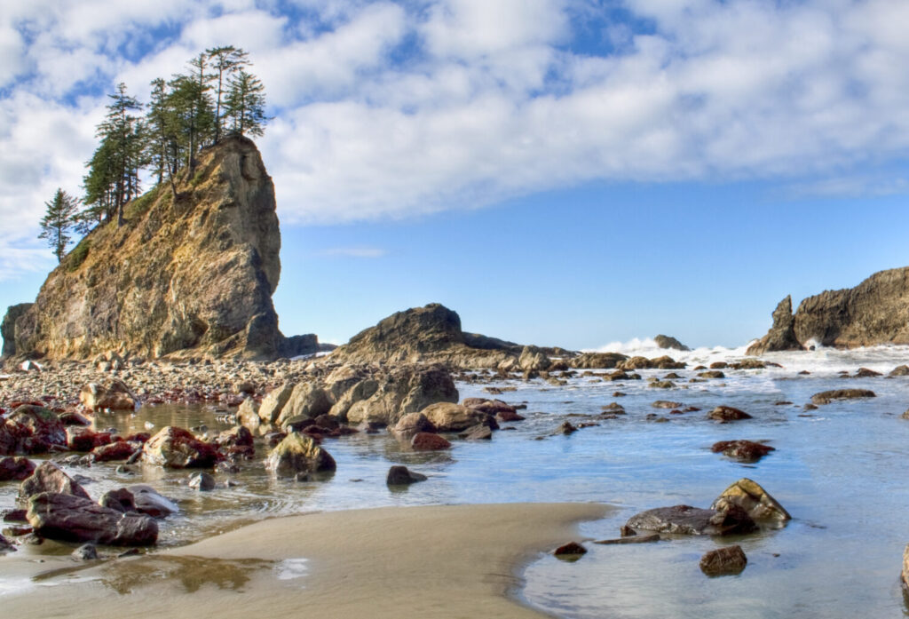 A Pacific coast beach on a sunny winter day